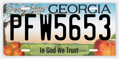 GA license plate PFW5653