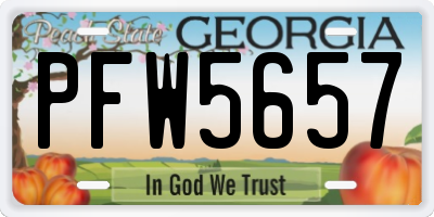 GA license plate PFW5657