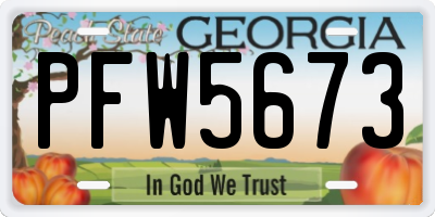 GA license plate PFW5673