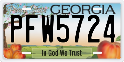 GA license plate PFW5724