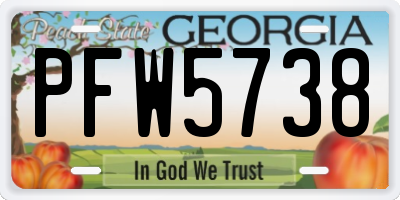 GA license plate PFW5738