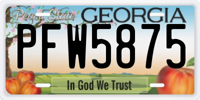 GA license plate PFW5875
