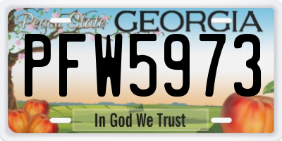 GA license plate PFW5973