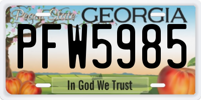 GA license plate PFW5985