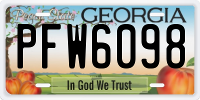 GA license plate PFW6098