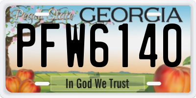 GA license plate PFW6140