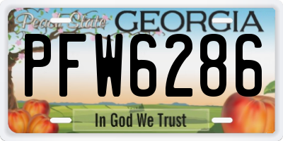 GA license plate PFW6286