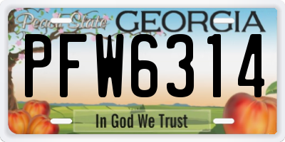 GA license plate PFW6314
