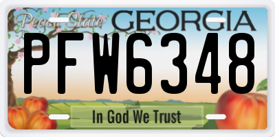GA license plate PFW6348