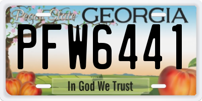 GA license plate PFW6441