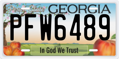 GA license plate PFW6489