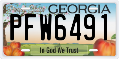 GA license plate PFW6491