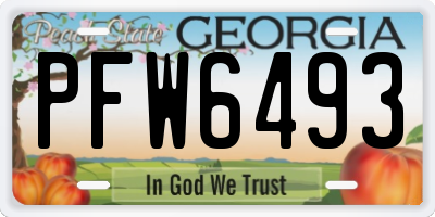 GA license plate PFW6493