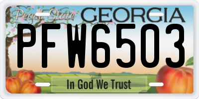 GA license plate PFW6503