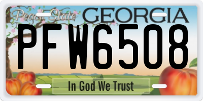 GA license plate PFW6508