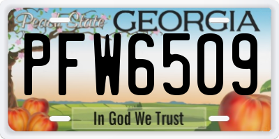 GA license plate PFW6509