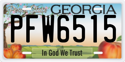 GA license plate PFW6515