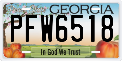 GA license plate PFW6518