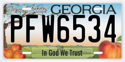 GA license plate PFW6534