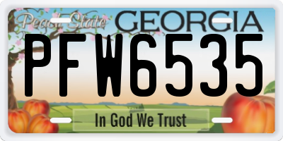 GA license plate PFW6535