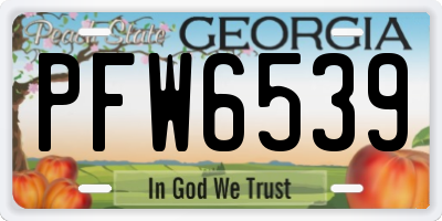 GA license plate PFW6539
