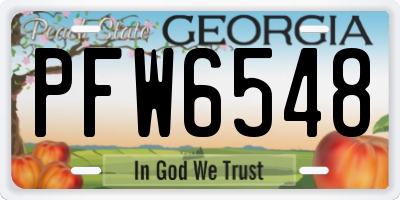 GA license plate PFW6548