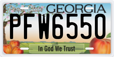 GA license plate PFW6550
