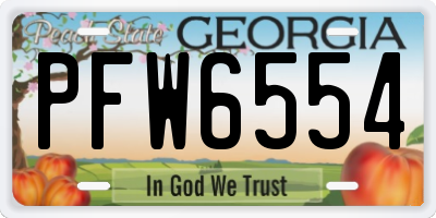 GA license plate PFW6554