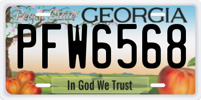 GA license plate PFW6568
