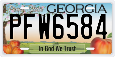 GA license plate PFW6584