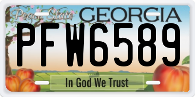 GA license plate PFW6589