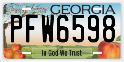GA license plate PFW6598