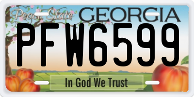 GA license plate PFW6599