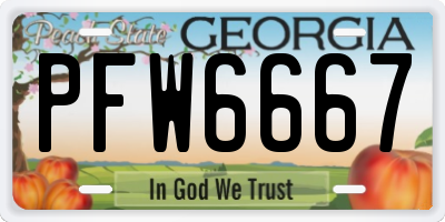 GA license plate PFW6667