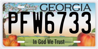 GA license plate PFW6733