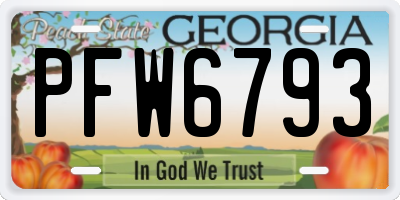 GA license plate PFW6793
