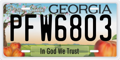 GA license plate PFW6803
