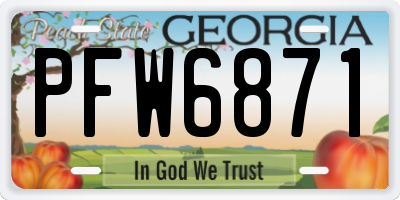 GA license plate PFW6871