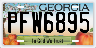 GA license plate PFW6895