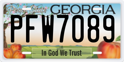 GA license plate PFW7089