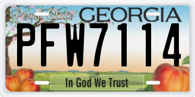 GA license plate PFW7114