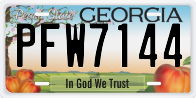 GA license plate PFW7144