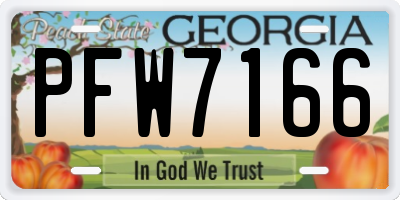 GA license plate PFW7166