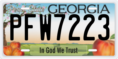 GA license plate PFW7223