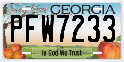 GA license plate PFW7233