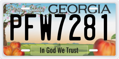 GA license plate PFW7281