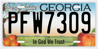 GA license plate PFW7309