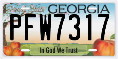 GA license plate PFW7317