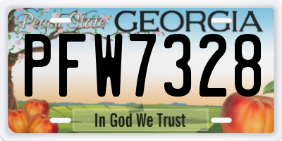 GA license plate PFW7328