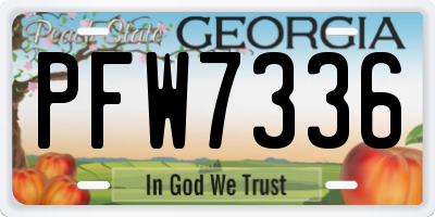 GA license plate PFW7336